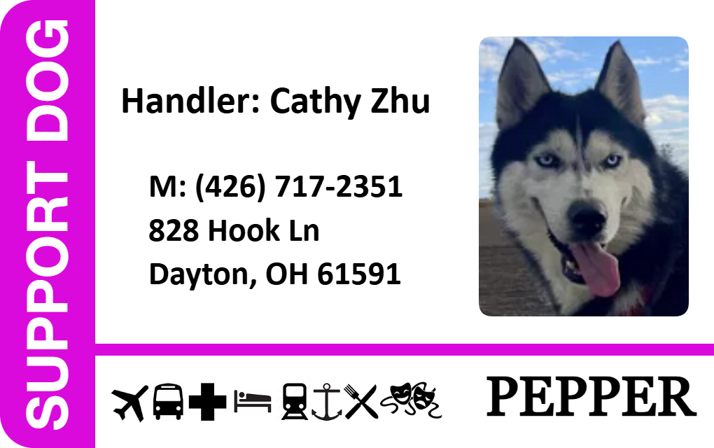 Template support dog ID badge with contact info, featuring a black and white husky with blue eyes and its tongue out; bend resistant, waterproof, added security holographic overlay option Template support dog ID badge with contact info, featuring a black and white husky with blue eyes and its tongue out; bend resistant, waterproof, added security holographic overlay option