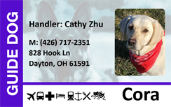 Template ID card showing guide dog's photo, handler info, accessibility icons; made of durable PVC with waterproof and wear-resistant clear overlay option