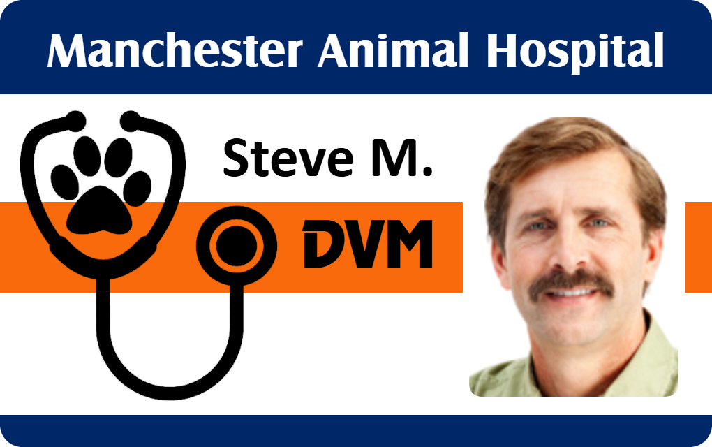 Template ID badge for Manchester Animal Hospital, featuring a paw print stethoscope, and a man with light brown hair and mustache. Waterproof, 40mil thick option, clear overlay option