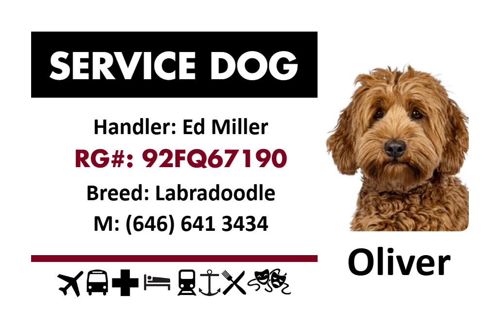 Template service dog ID card for a Labradoodle, displays handler name, registration and contact number, icons at bottom; 40mil thick option, waterproof, clear overlay option