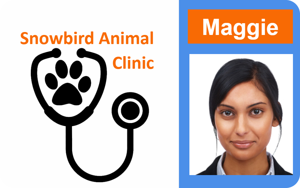 Template ID badge for Snowbird Animal Clinic featuring a paw print in a stethoscope and headshot on orange. Durable PVC, bend resistant, clear overlay option