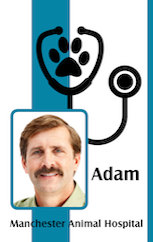 Template ID badge featuring a man’s photo, stethoscope with paw print icon, name area, Manchester Animal Hospital text. Durable PVC, waterproof, clear overlay option