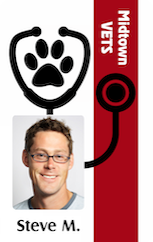 Template ID badge for Midtown Vets featuring a stethoscope and paw print logo, a smiling man with glasses, clear overlay option, durable PVC, name printed below