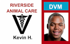 Template ID badge for Riverside Animal Care featuring a veterinary symbol, DVM blue box, smiling man's photo on right; waterproof, wear resistant, clear overlay option