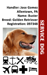 Service Dog Identification Card Template from www.quickidcard.com