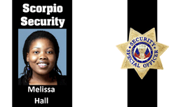 law enforcement and security cards and badges