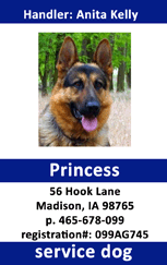 Template service dog ID card for German Shepherd Princess, features photo above info details, wear resistant, waterproof, clear overlay option