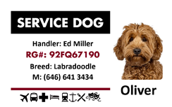 Template service dog ID card for a Labradoodle, displays handler name, registration and contact number, icons at bottom; 40mil thick option, waterproof, clear overlay option