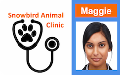 Template ID badge for Snowbird Animal Clinic featuring a paw print in a stethoscope and headshot on orange. Durable PVC, bend resistant, clear overlay option