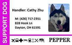 Template support dog ID badge with contact info, featuring a black and white husky with blue eyes and its tongue out; bend resistant, waterproof, added security holographic overlay option