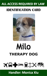 Template ID card for a therapy dog named Milo, featuring a photo of a brown and white dog. All-access granted, handler listed. Durable PVC, wear resistant, added security holographic overlay option