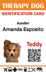 Therapy dog id badge with QR code and access icons